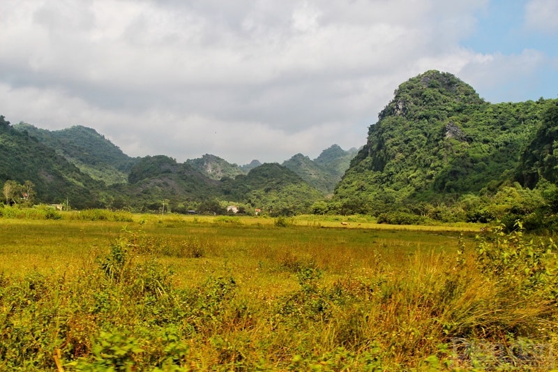 Khung cảnh ở đây còn nguyên vẹn sự hoang sơ, kỳ bí rất thích hợp với những du khách thích trải nghiệm