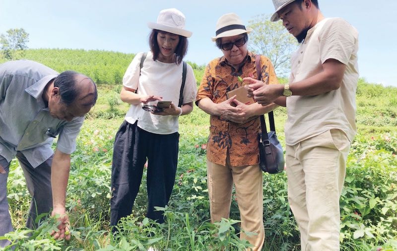 Chủ tịch HĐQT TRISO Group Trần Đức Minh và các nhà khoa học làm việc tại vườn sâm báo tại Vinh Lộc - Thanh Hoá