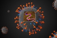 Cảnh báo nguy cơ đại dịch mới từ virus Nipah