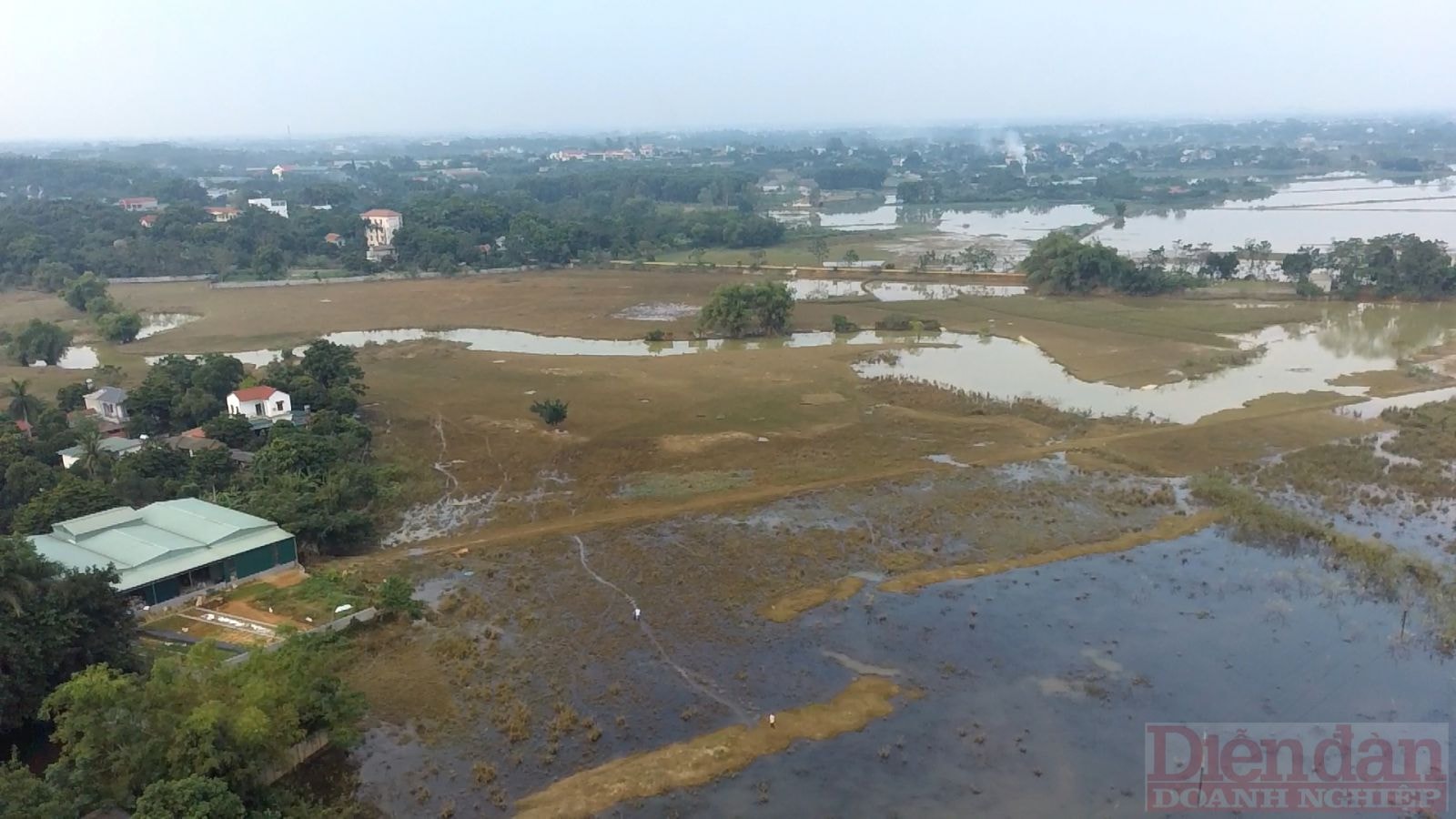 Đây cũng là nơi người dân xung quanh tận dụng chăn thả vịt gà và trâu bò.p/