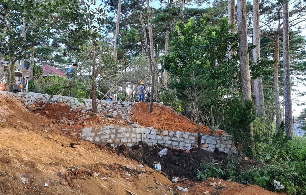 Việc buông lỏng quản lý là một trong những nguyên nhân dẫn tới tình trạng lấn chiếm, xà xẻo đất nông, lâm trường quốc doanh. Ảnh minh họa.