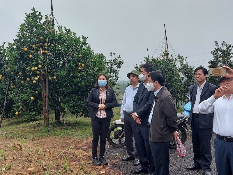 Đoàn công tác của Ban Kinh tế Trung ương về kết quả thực hiện Nghị quyết 26-NQ/TW về nông nghiệp, nông dân, nông thôn làm việc với một số địa phương miền núi Tây Bắc