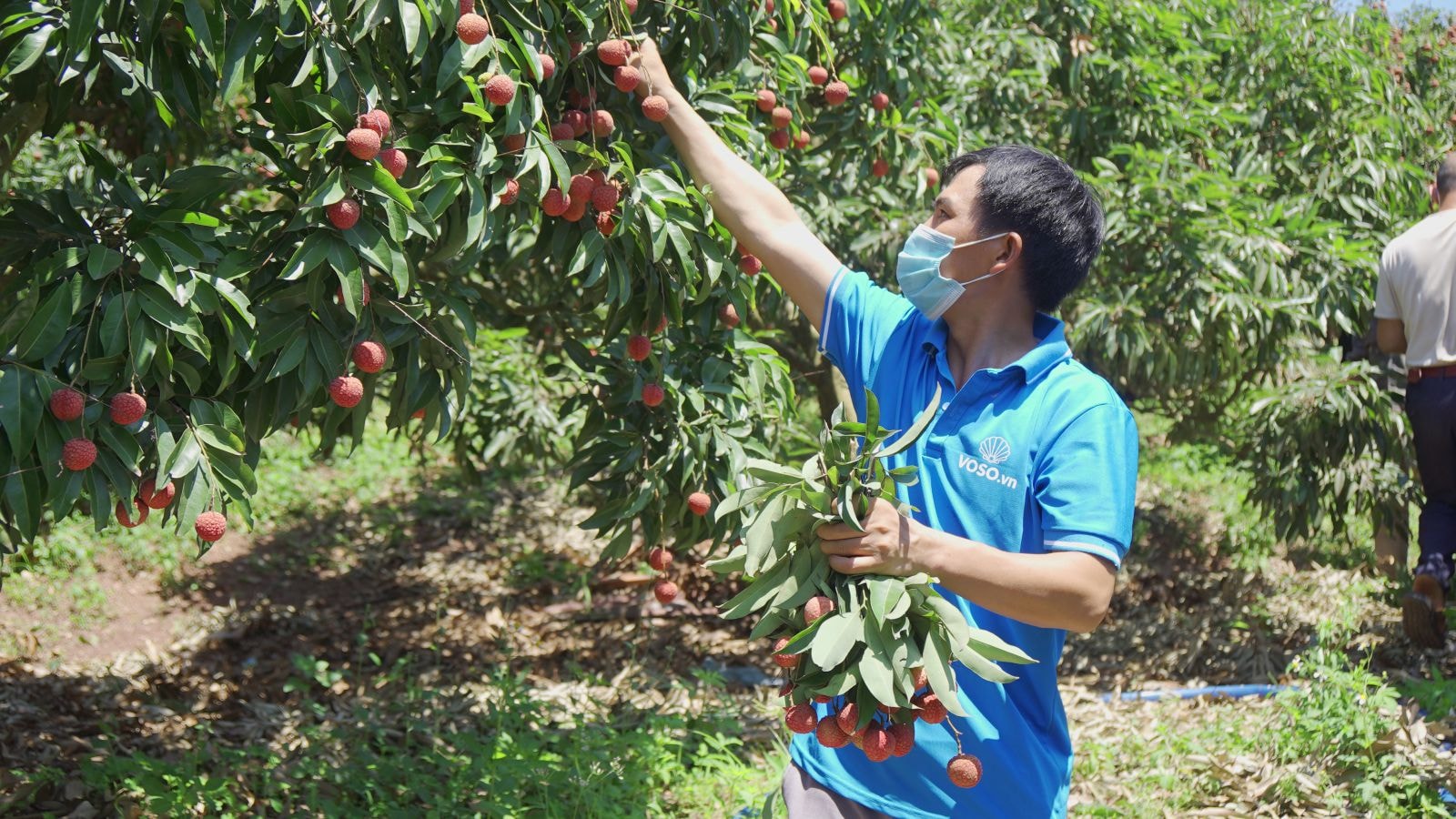 Tính đến hết quý 3/2021, sàn thương mại điện tử Vỏ Sò đã đưa 18,110 hộ sản xuất nông nghiệp, 12,731 sản phẩm lên sàn và hỗ trợ hàng nghìn tấn nông sản lưu thông. 