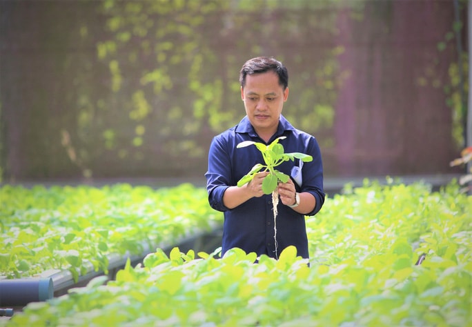 Anh Nguyễn Tấn Phương bên trong nhà màng trồng rau tại Afarm