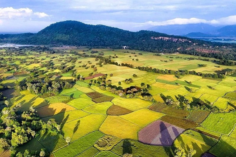 Băng qua những cánh đồng bát ngát trên cung đường du lịch ở An Giang.