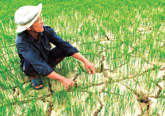  Việt Nam là một trong những quốc gia chịu nhiều tác động nhất của biến đổi khí hậu.