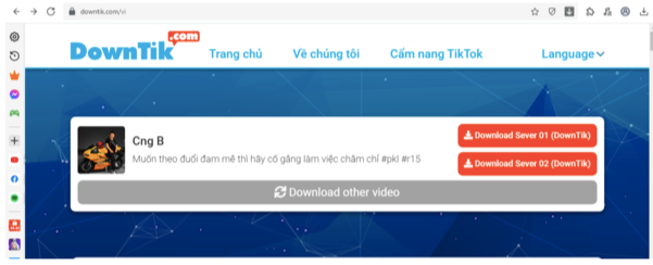 Chọn Download Server mà bạn muốn tải về máy tính