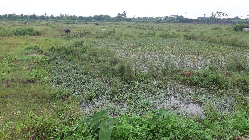 Hội đồng nhân dân tỉnh Hải Dương chấp thuận thu hồi 119,22 ha đất để thực hiện 35 dự án, công trình phát triển kinh tế - xã hội (Ảnh minh hoạ)