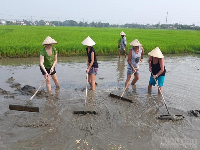 Tỉnh Quảng Nam chọn TP Hội An làm địa điểm phát triển du lịch xanh để nhân rộng sang các địa phương khác.