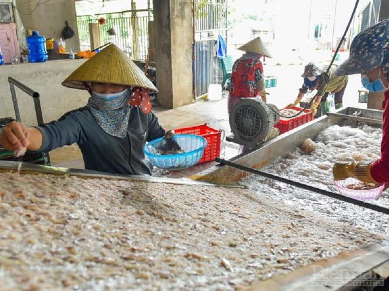 Công nhân nhặt các loại
