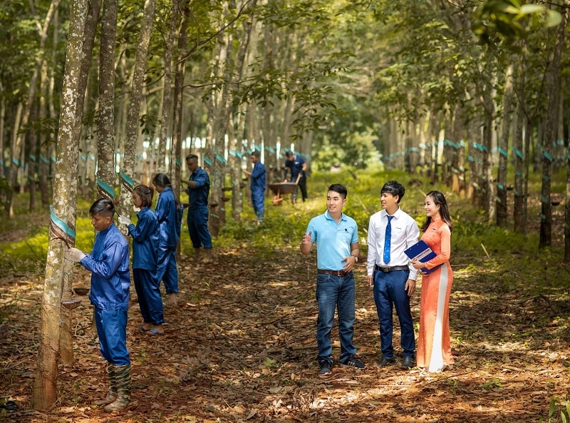 Nông nghiệp đang nổi lên như một bệ đỡ giúp nền kinh tế chống chọi với các tác động của đại dịch COVID-19.