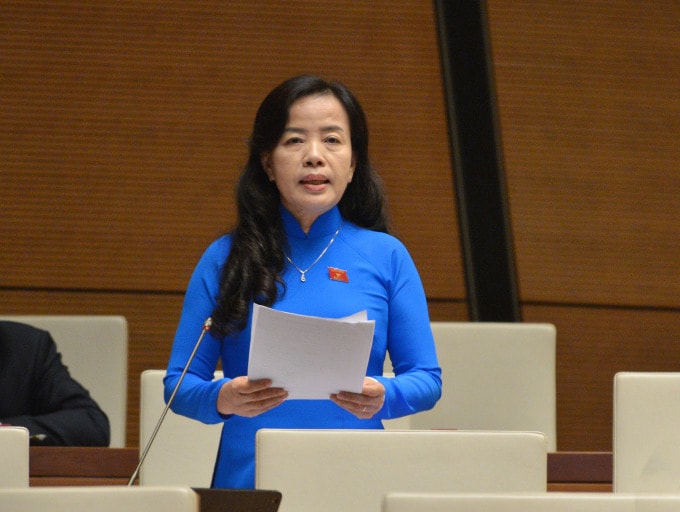 Đại biểu Nguyễn Thị Kim Thúy.