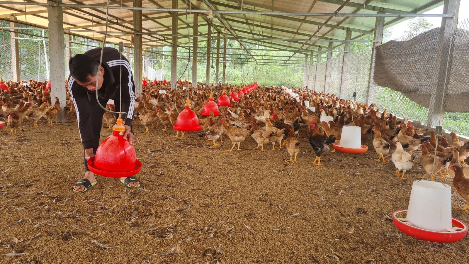 Chàng trai trẻ Nguyễn Văn Tú, làng Bông, xã Xuân Quang, huyện Bảo Thắng (Lào Cai).