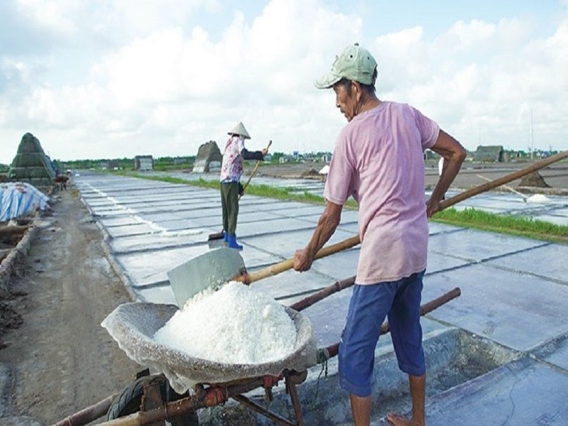 Cái khó của nghề muối là ngày nắng, muối làm ra nhiều, giá lại hạ