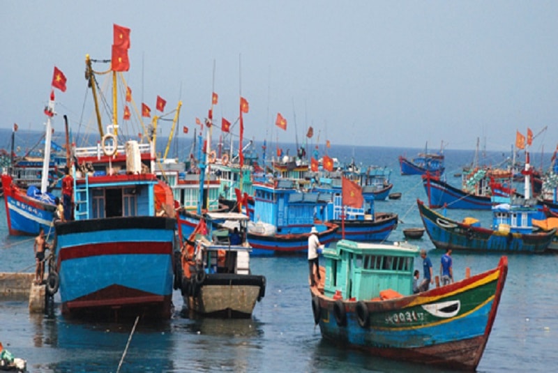 quy định về chuyển đổi hạn ngạch giấy phép khai thác thủy sản vùng khơi còn thiếu minh bạch