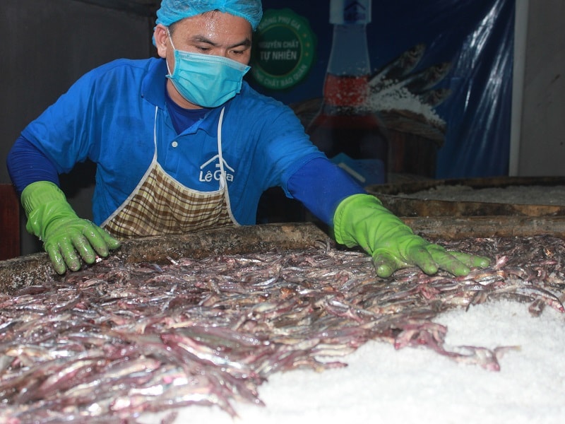 Nguyên liệu làm mắm truyền thống là cá và muối, yếu tố quyết định đến chất lượng nước mắm và cũng là khâu lựa chọn kỹ lưỡng của nhà thùng mắm Lê Gia