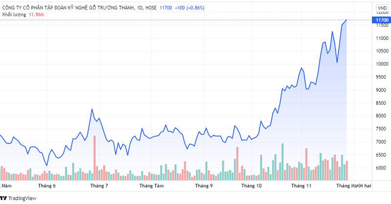 Cổ phiếu TTF hiện đã lên mức giá 11.700 đồng/cổ phiếu, đúng với cam kết của Chủ tịch Mai Hữu Tín khi kêu gọi nhà đầu tư tham gia.