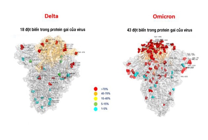 Hình ảnh so sánh lượng đột biến giữa Delta và Omicron. Ảnh: Ansa.