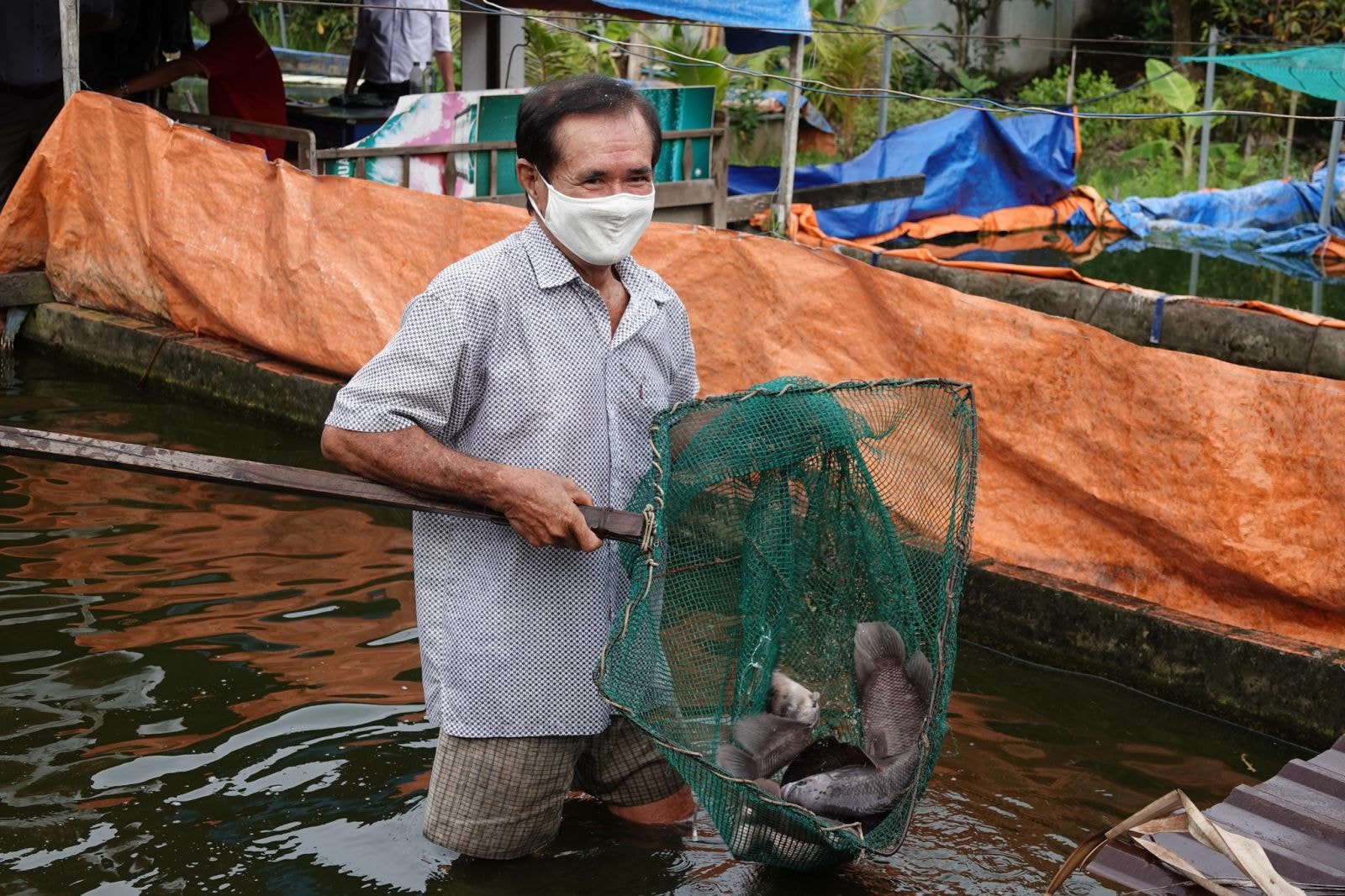 Cá tai tượng phát triển tốt khi nuôi trong bể bạt; Ảnh Duy Tân