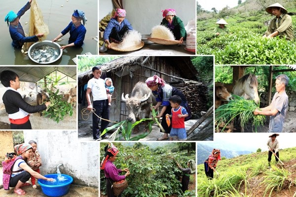 Bảo đảm giao kế hoạch vốn cho các Chương trình mục tiêu quốc gia trước ngày 15 tháng 12 năm 2021