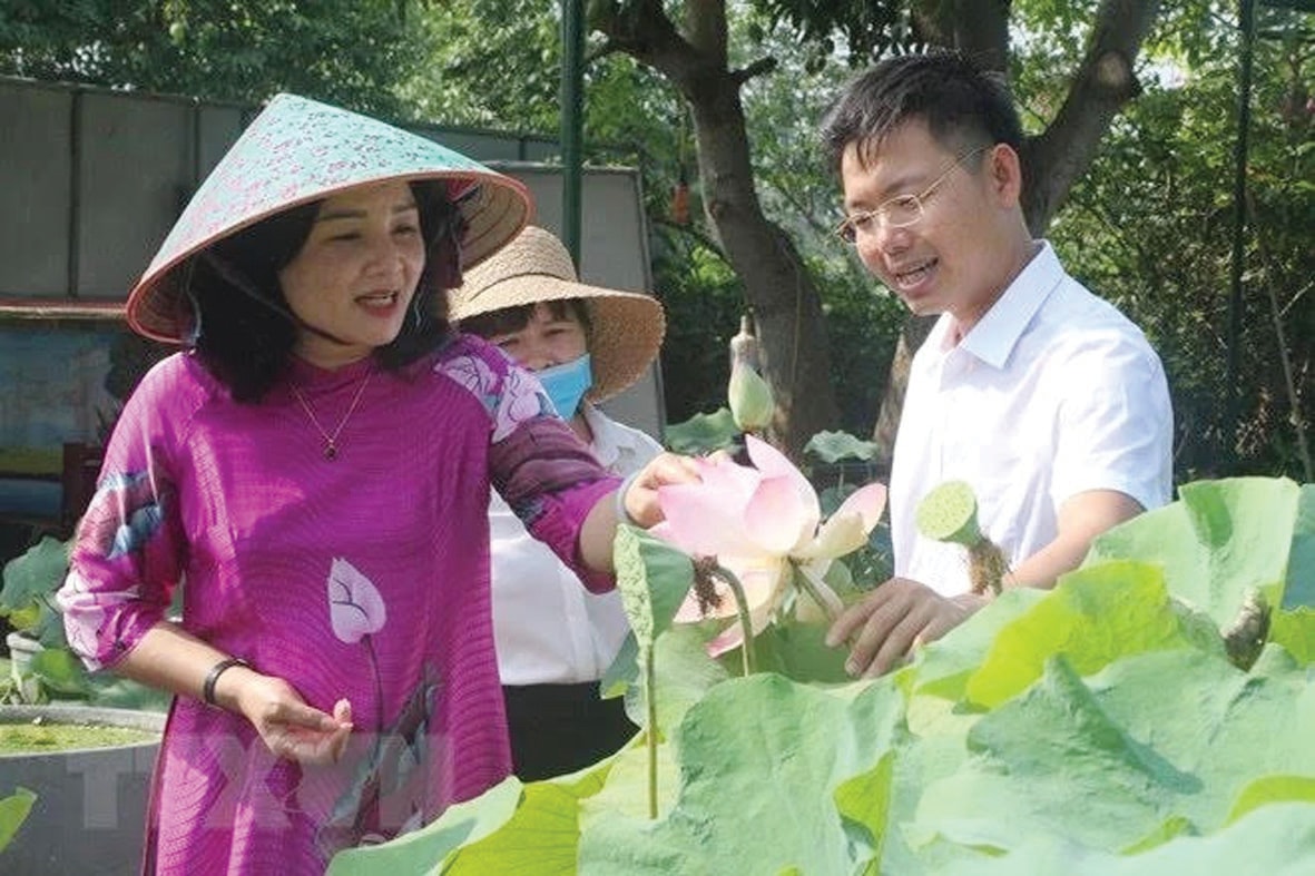  Bà Nguyễn Thị Hồng Hoa - Bí thư huyện ủy Nam Đàn làm việc, tham quan mô hình trồng sen tại HTX Sen Quê Bác.