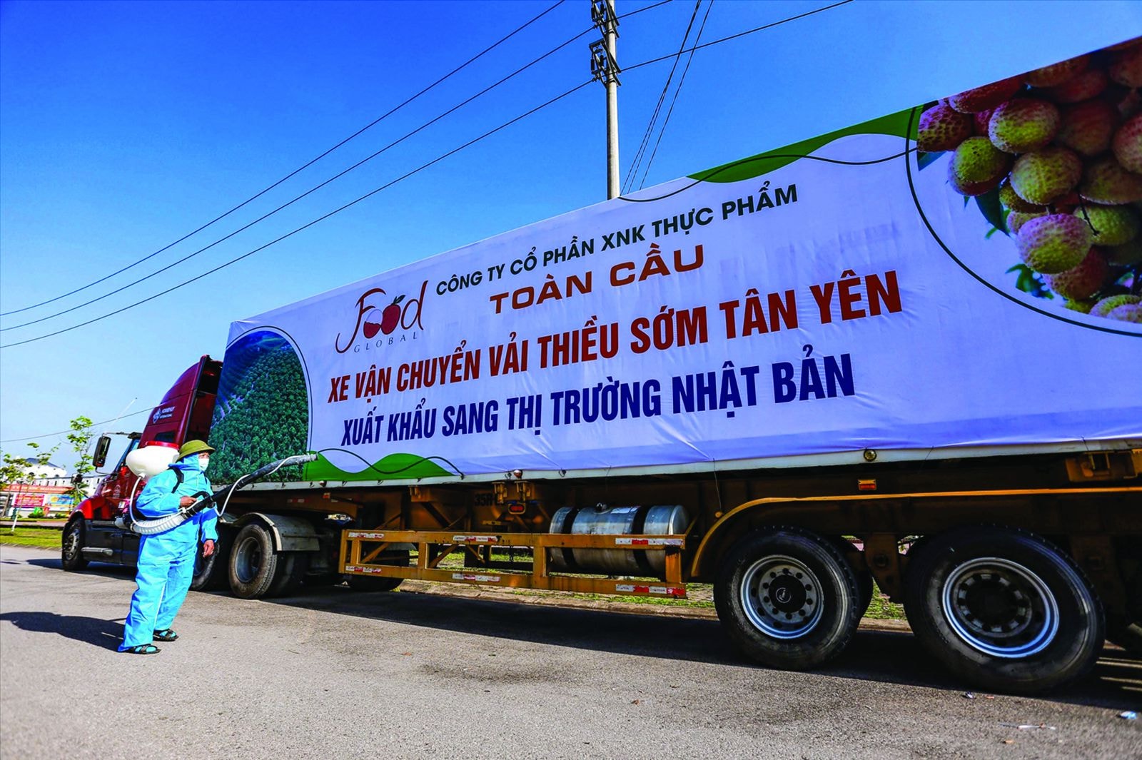 Nâng cao logistics là một trong những giải pháp giúp nông sản Việt cạnh tranh được với các nước. Ảnh: Trình Hiệp