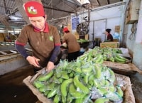 “Vua nông sản” chỉ cách thích ứng với đại dịch