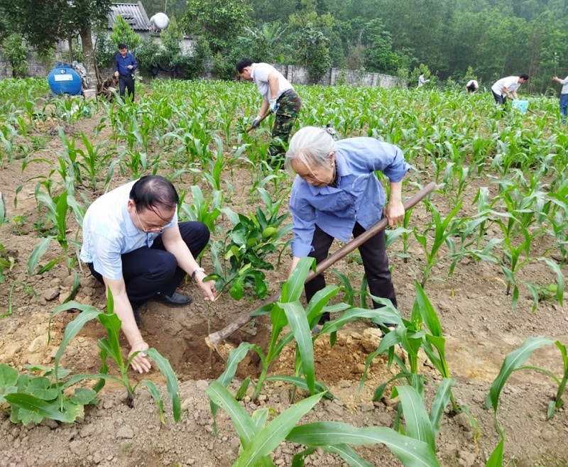 Tỉnh Quảng Ninh hỗ trợ, hướng dẫn người nông dân trồng cây