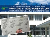 TP. Hồ Chí Minh: Xử lý kỷ luật Đảng đối với cá nhân, tập thể SAGRI