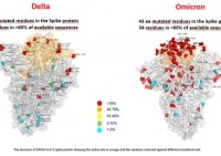 Omicron và Delta: Đâu sẽ là biến chủng vượt trội?