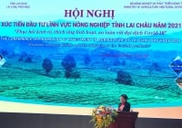 Lai Châu: Cam kết cùng doanh nghiệp hợp tác phát triển