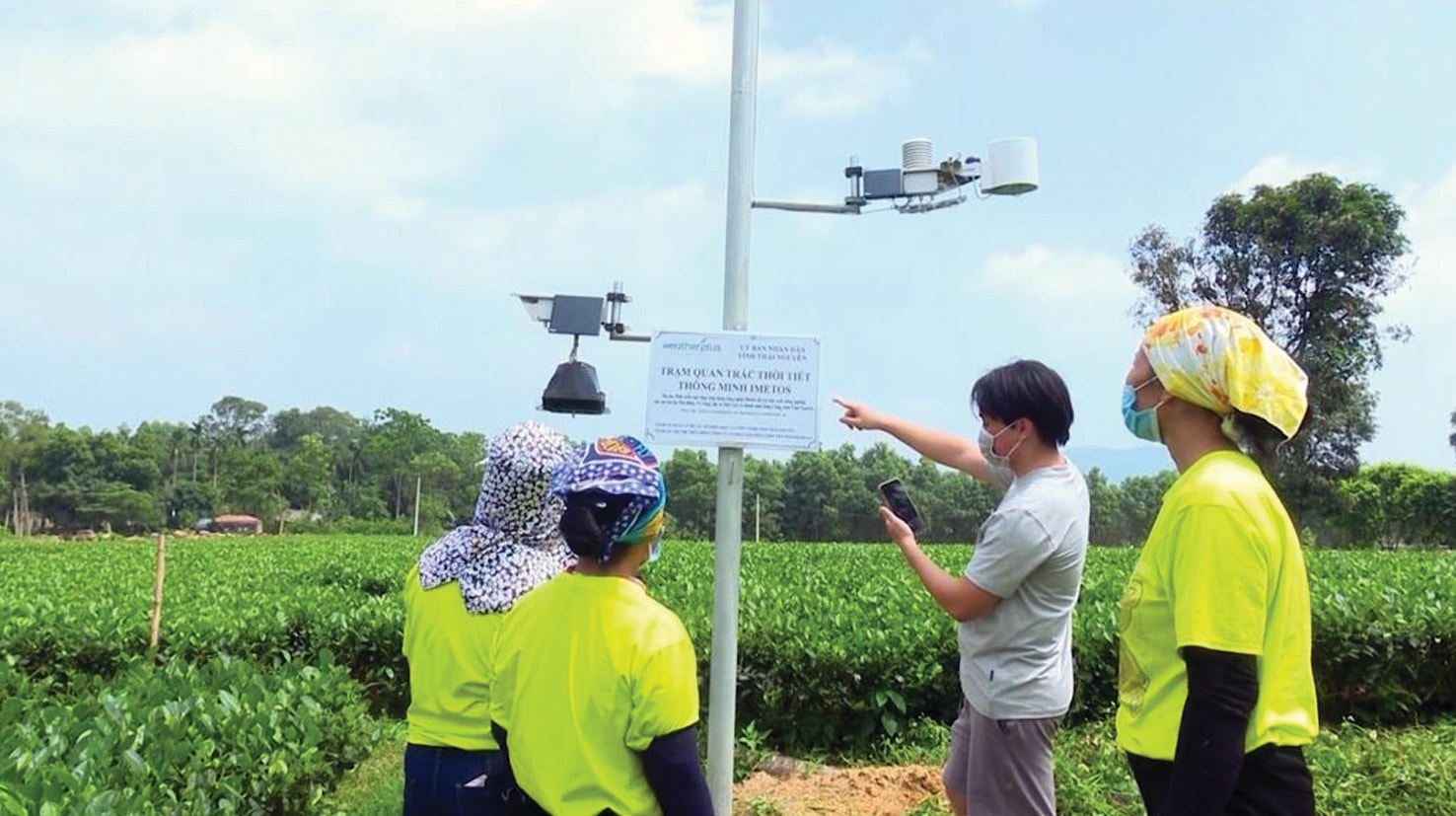  Trạm quan trắc thời tiết thông minh metos phục vụ việc chăm sóc sự sinh trưởng và phát triển của cây chè Thái Nguyên