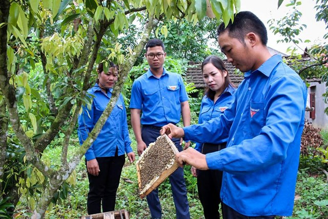 Thanh niên nông thôn khởi nghiệp sáng tạo, làm giàu cho quê hương.