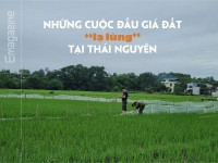 [eMagazine] Những cuộc đấu giá đất “lạ lùng” tại Thái Nguyên