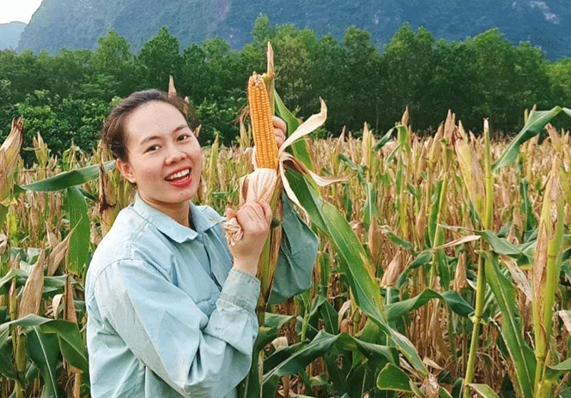 Hoàng Thị Minh Hồng hiện là chủ cơ sở sản xuất mì ngô ở xã Quyết Thắng, huyện Hữu Lũng, tỉnh Lạng Sơn.