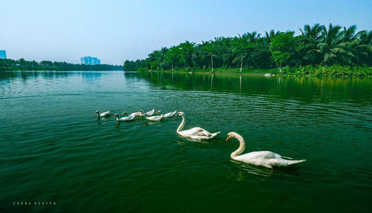 Không gian xanh, yên bình tại Ecopark