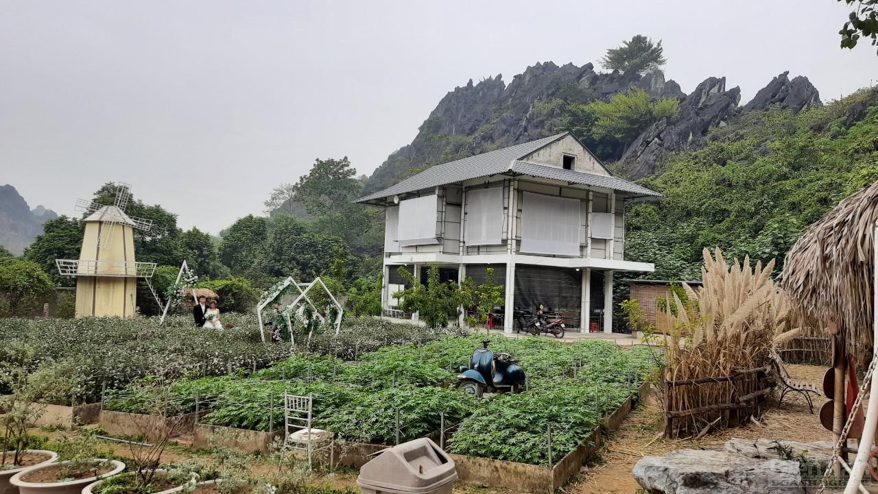 Công ty Cổ phần Du lịch Kim Quy có bị UBND TP. Thanh Hóa 