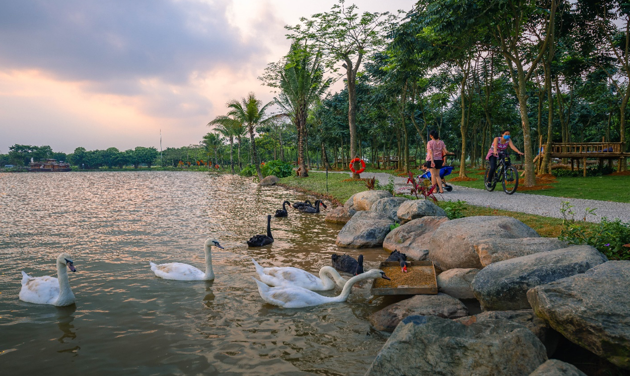 Sống gần thiên nhiên giúp con người nâng cao chỉ số hạnh phúc. Ảnh: một góc KĐT Ecopark