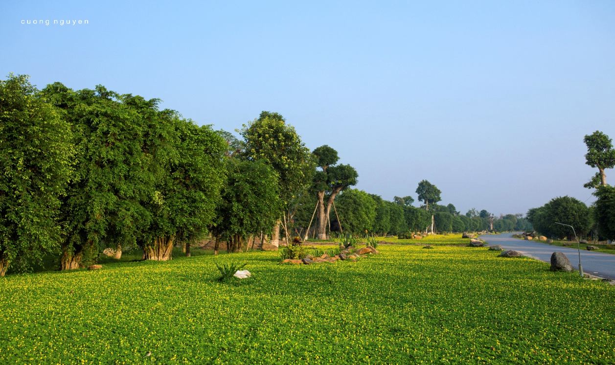 Màu xanh đặc trung của KĐT Ecopark