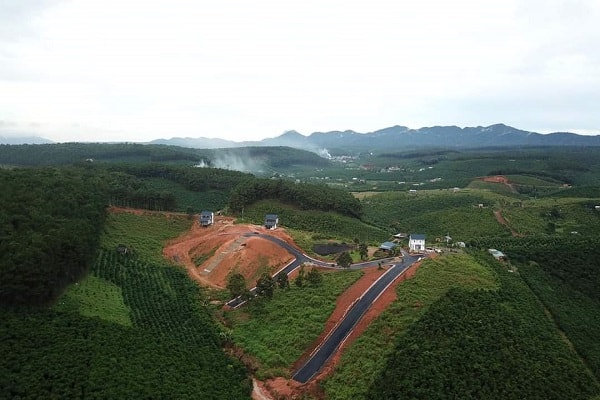 Nghi vấn dự án này thực hiện trên đất rừng