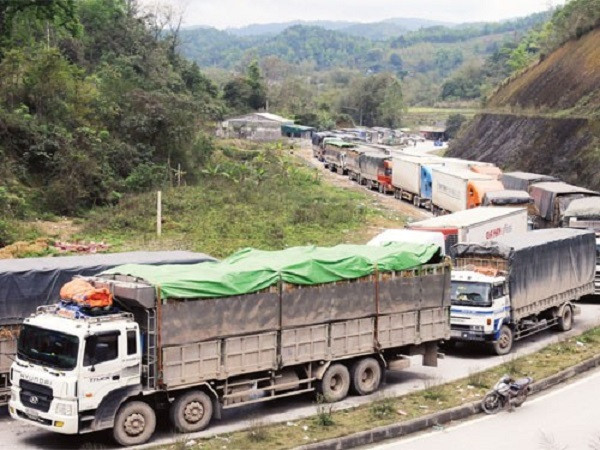 Trung Quốc không còn là thị trường dễ tính, họ đã có những quy định rất chặt chẽ về chất lượng, truy xuất nguồn gốc, vùng trồng... 