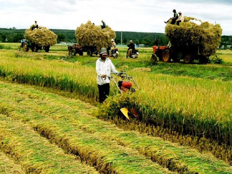 định hướng đẩy mạnh nền nông nghiệp hiện đại, sạch, hữu cơ gắn với phát triển công nghiệp chế biến nông sản để tạo sức bật trong sản xuất