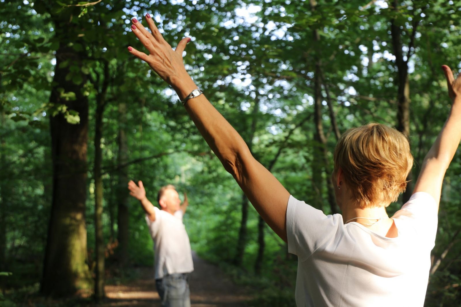 Tắm rừng là một trong những trải nghiệm hiếm có tại công viên Wellness Bãi Kem. Ảnh Shutterstock