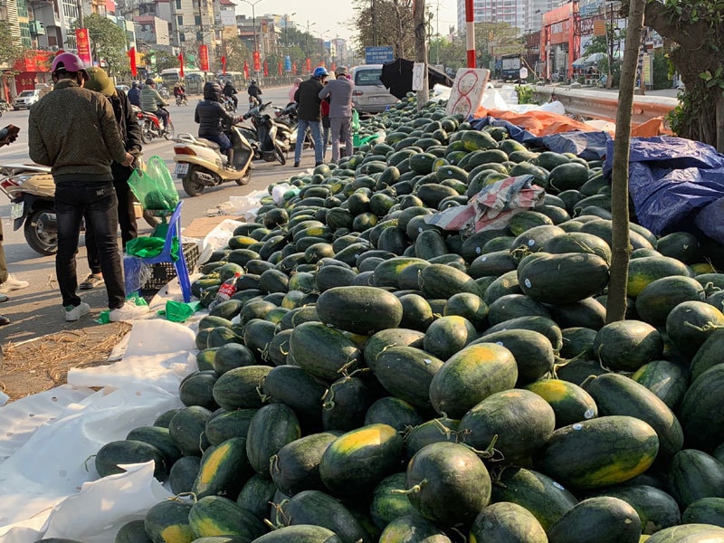 Trái cây ùn tắc ở cửa khẩu phải quay đầu về nội địa để 