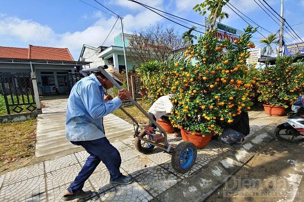 Các nhà vườn cùng 