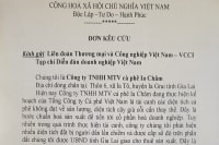 Gia Lai: Doanh nghiệp đứng ngồi không yên vì đất bị chiếm dụng