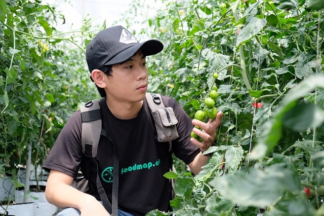 Phạm Ngọc Anh Tùng, nhà sáng lập và CEO Foodmap. 