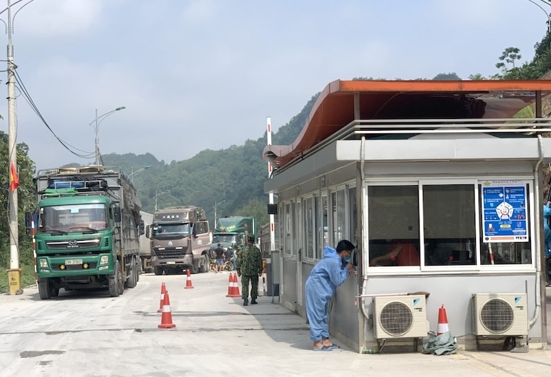 những chuyến hàng đầu tiên sang Trung Quốc chủ yếu là các loại nông sản như xoài, mít và thanh long.