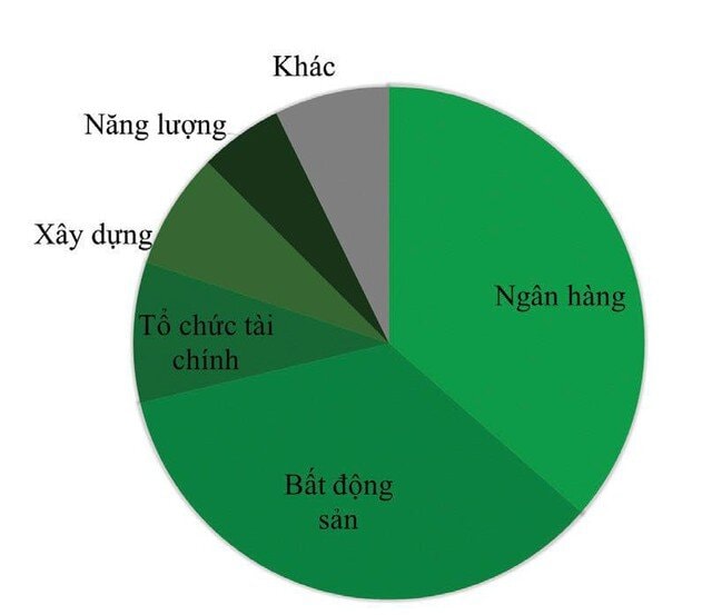  Cơ cấu phát hành trái phiếu doanh nghiệp năm 2021. Nguồn: VBMA