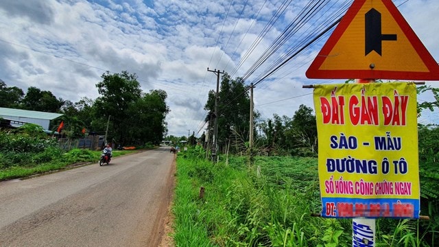  Thông tin bán đất nông, lâm nghiệp được môi giới treo khắp khu vực xã Bàu Cạn, Phước Bình của huyện Long Thành. Ảnh: V.D